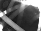 Webcam Peschiera, Fraglia Vela Peschiera
